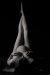 Fotografering af gravide